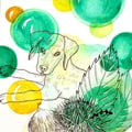 petit chien Clair